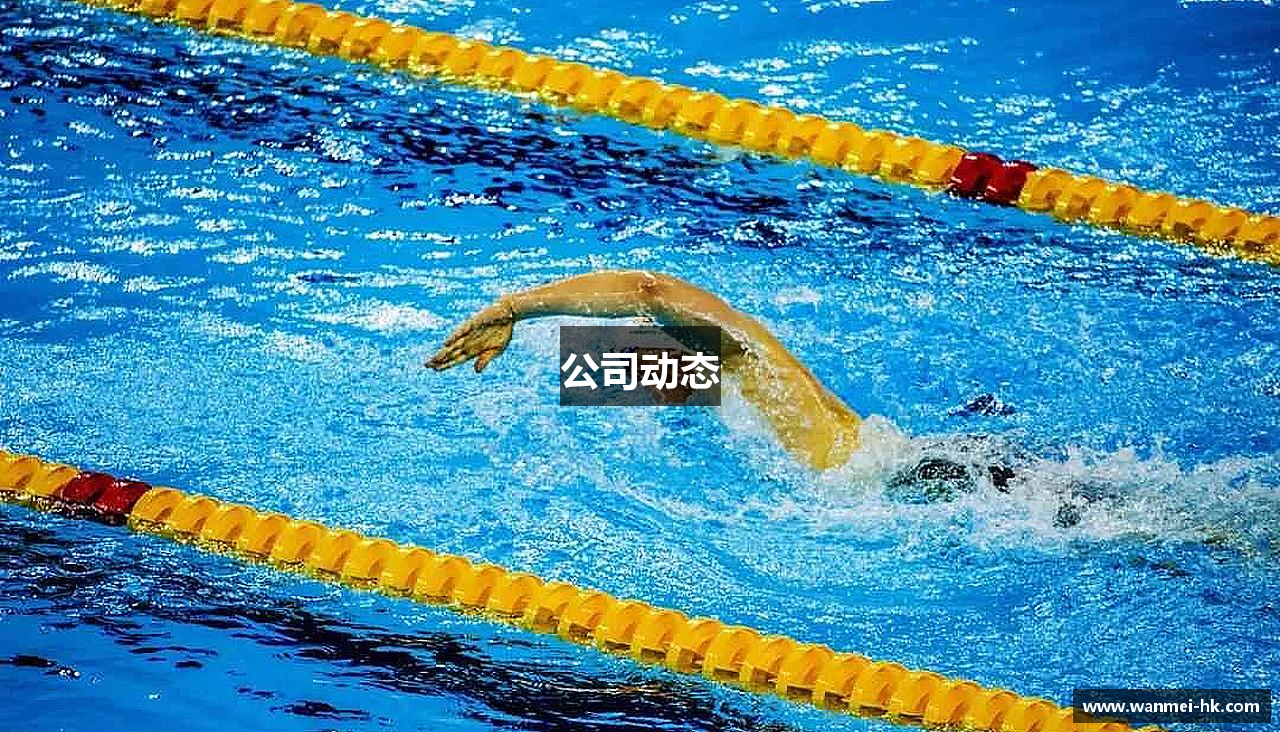 公司动态
